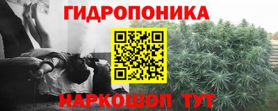 ПСИЛОЦИБИНОВЫЕ ГРИБЫ Рыбинск