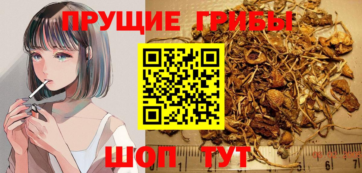Псилоцибиновые грибы мухоморы Саяногорск